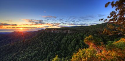 Canyon Lookout - Springbrook National Park - QLD T (PB5D 00 3894)